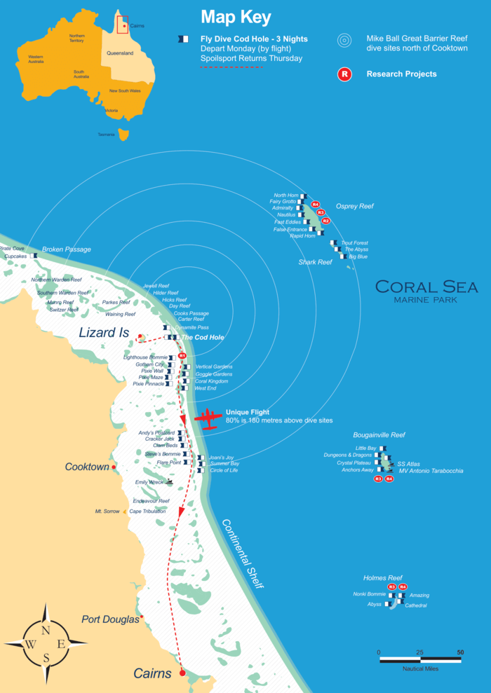 ケアンズ、ダイブクルーズ、マイクボール、コッドホール、コーラルシー