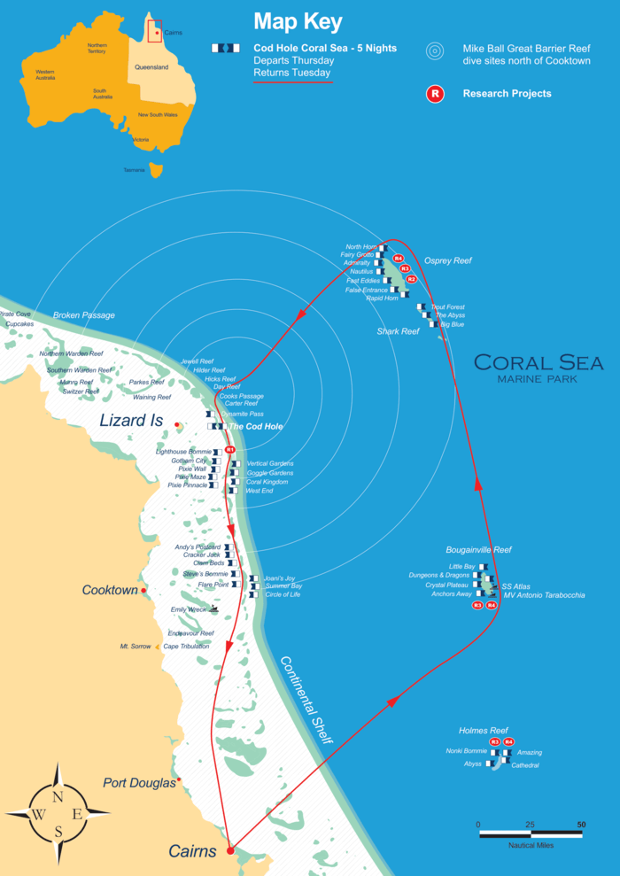 ケアンズ、ダイブクルーズ、マイクボール、コッドホール、コーラルシー