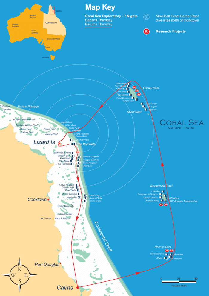 ケアンズ、ダイブクルーズ、マイクボール、コーラルシートリップ
